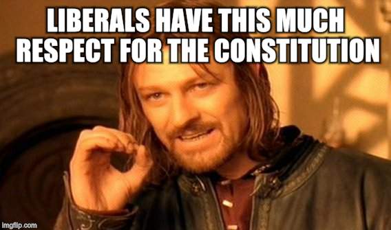 One Does Not Simply | LIBERALS HAVE THIS MUCH RESPECT FOR THE CONSTITUTION | image tagged in memes,one does not simply | made w/ Imgflip meme maker