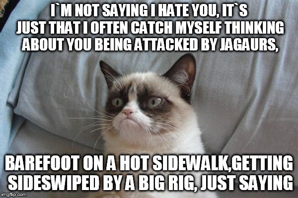 Grumpy Cat Bed | I`M NOT SAYING I HATE YOU, IT`S JUST THAT I OFTEN CATCH MYSELF THINKING ABOUT YOU BEING ATTACKED BY JAGAURS, BAREFOOT ON A HOT SIDEWALK,GETT | image tagged in memes,grumpy cat bed,grumpy cat | made w/ Imgflip meme maker