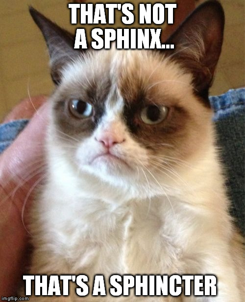 Grumpy Cat Meme | THAT'S NOT A SPHINX... THAT'S A SPHINCTER | image tagged in memes,grumpy cat | made w/ Imgflip meme maker