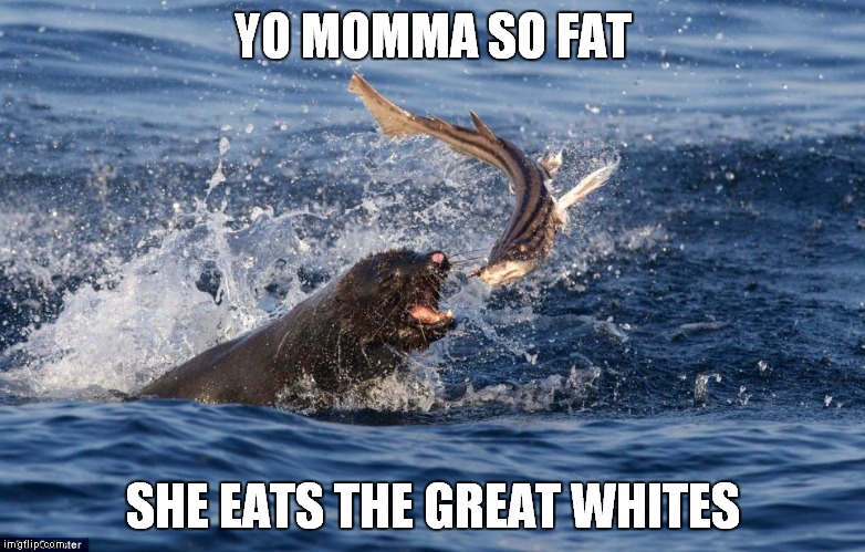 YO MOMMA SO FAT SHE EATS THE GREAT WHITES | made w/ Imgflip meme maker