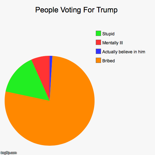 People Voting For Trump - Imgflip