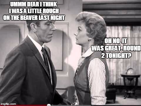 June Cleaver....50's freak | UMMM DEAR I THINK I WAS A LITTLE ROUGH ON THE BEAVER LAST NIGHT OH NO, IT WAS GREAT. ROUND 2 TONIGHT? | image tagged in leave it to beaver,memes,funny | made w/ Imgflip meme maker