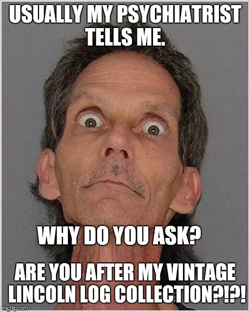 USUALLY MY PSYCHIATRIST TELLS ME. ARE YOU AFTER MY VINTAGE LINCOLN LOG COLLECTION?!?! WHY DO YOU ASK? | made w/ Imgflip meme maker