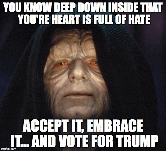 YOU KNOW DEEP DOWN INSIDE THAT YOU'RE HEART IS FULL OF HATE ACCEPT IT, EMBRACE IT... AND VOTE FOR TRUMP | image tagged in donald trump | made w/ Imgflip meme maker