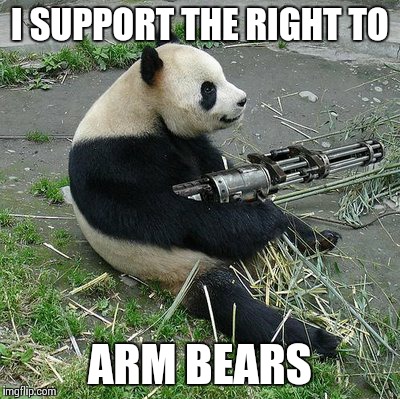 arm bears | I SUPPORT THE RIGHT TO ARM BEARS | image tagged in arm bears | made w/ Imgflip meme maker