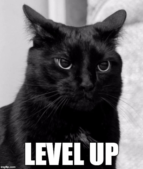 pissed cat | LEVEL UP | image tagged in pissed cat | made w/ Imgflip meme maker
