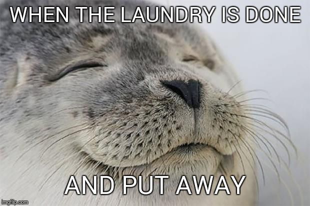 Satisfied Seal Meme | WHEN THE LAUNDRY IS DONE AND PUT AWAY | image tagged in memes,satisfied seal | made w/ Imgflip meme maker