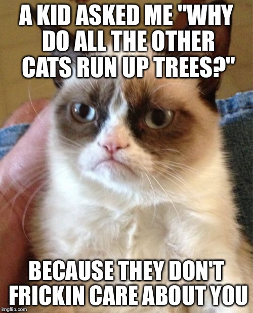 Grumpy Cat | A KID ASKED ME "WHY DO ALL THE OTHER CATS RUN UP TREES?" BECAUSE THEY DON'T FRICKIN CARE ABOUT YOU | image tagged in memes,grumpy cat | made w/ Imgflip meme maker
