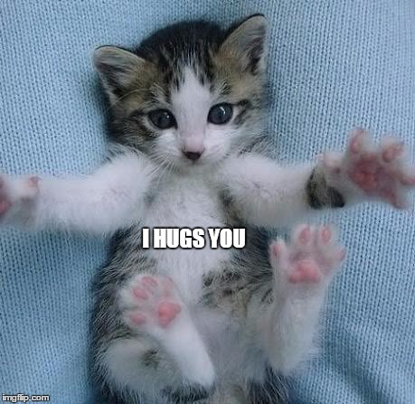 I HUGS YOU | image tagged in kitteh,kitten,hugs,caterday,james wolfe | made w/ Imgflip meme maker