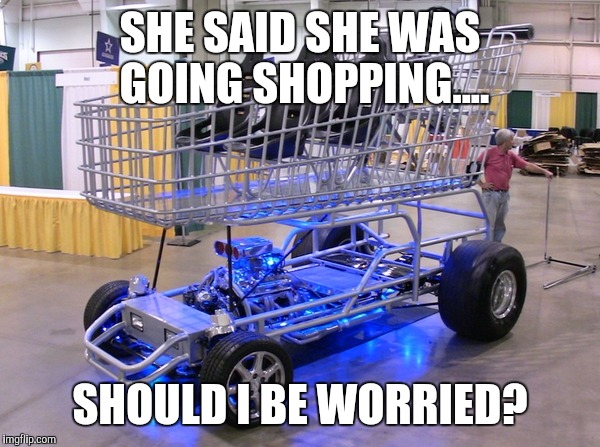 A whole lotta shopping cart | SHE SAID SHE WAS GOING SHOPPING.... SHOULD I BE WORRIED? | image tagged in memes | made w/ Imgflip meme maker