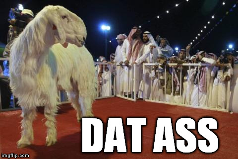 DAT ASS | image tagged in goat,arab,muslime,sex,dat ass | made w/ Imgflip meme maker