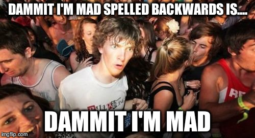 Sudden Clarity Clarence | DAMMIT I'M MAD SPELLED BACKWARDS IS.... DAMMIT I'M MAD | image tagged in memes,sudden clarity clarence | made w/ Imgflip meme maker