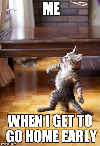 Cool Cat Stroll | ME WHEN I GET TO GO HOME EARLY | image tagged in memes,cool cat stroll | made w/ Imgflip meme maker