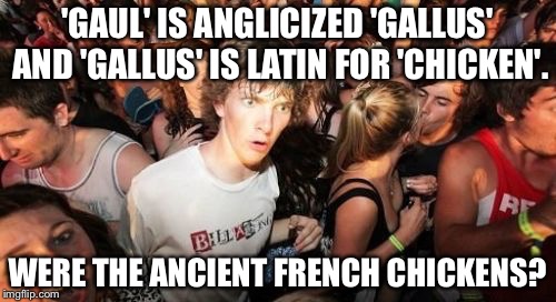 I know the Gauls weren't belligerent, but still... | 'GAUL' IS ANGLICIZED 'GALLUS' AND 'GALLUS' IS LATIN FOR 'CHICKEN'. WERE THE ANCIENT FRENCH CHICKENS? | image tagged in memes,sudden clarity clarence | made w/ Imgflip meme maker