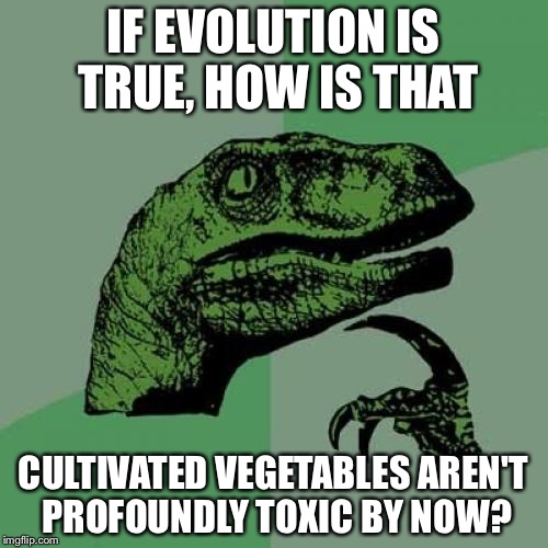 Thallium. Cabbages. Clicking noises.
Confused? Go ask an acacia! | IF EVOLUTION IS TRUE, HOW IS THAT CULTIVATED VEGETABLES AREN'T PROFOUNDLY TOXIC BY NOW? | image tagged in memes,philosoraptor | made w/ Imgflip meme maker