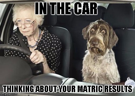 Stressed out | IN THE CAR THINKING ABOUT YOUR MATRIC RESULTS | image tagged in stressed out | made w/ Imgflip meme maker