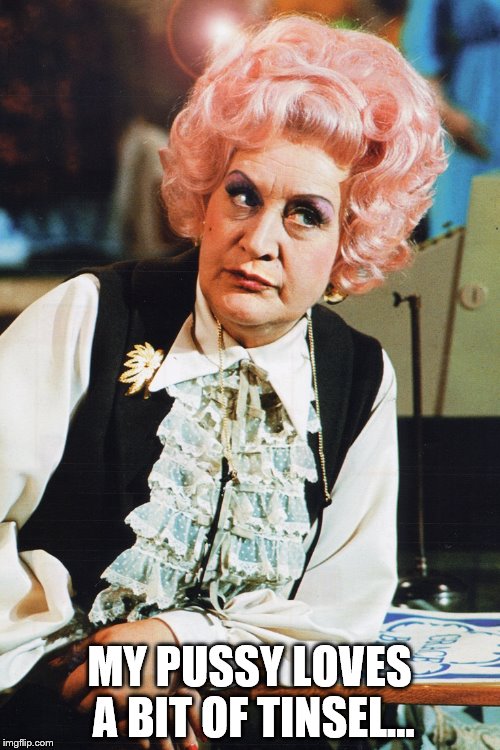 mrs slocombe | MY PUSSY LOVES A BIT OF TINSEL... | image tagged in mrs slocombe | made w/ Imgflip meme maker