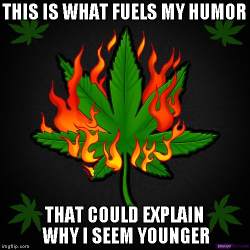 THIS IS WHAT FUELS MY HUMOR THAT COULD EXPLAIN WHY I SEEM YOUNGER | made w/ Imgflip meme maker