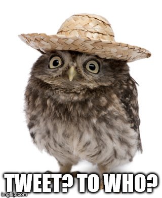Like me, he's not on Twitter | TWEET? TO WHO? | image tagged in sombrero owl,memes,twitter | made w/ Imgflip meme maker