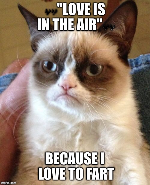 Grumpy Cat | image tagged in memes,grumpy cat | made w/ Imgflip meme maker