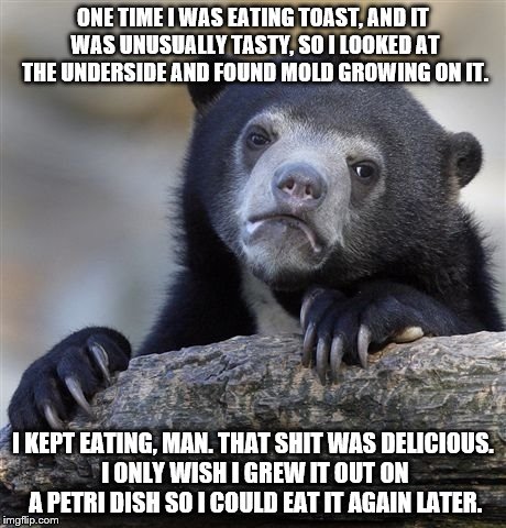 Confession Bear | ONE TIME I WAS EATING TOAST, AND IT WAS UNUSUALLY TASTY, SO I LOOKED AT THE UNDERSIDE AND FOUND MOLD GROWING ON IT. I KEPT EATING, MAN. THAT | image tagged in memes,confession bear | made w/ Imgflip meme maker