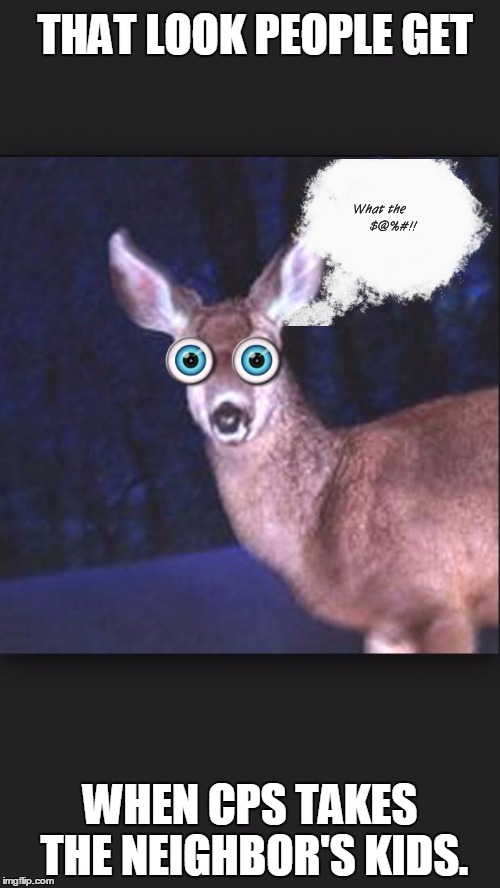 deer in headlights | THAT LOOK PEOPLE GET WHEN CPS TAKES THE NEIGHBOR'S KIDS. | image tagged in deer in headlights | made w/ Imgflip meme maker