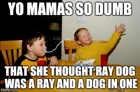 Yo Mamas So Fat Meme | YO MAMAS SO DUMB THAT SHE THOUGHT RAY DOG WAS A RAY AND A DOG IN ONE | image tagged in memes,yo mamas so fat | made w/ Imgflip meme maker