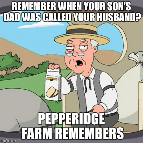 Pepperidge Farm Remembers Meme | REMEMBER WHEN YOUR SON'S DAD WAS CALLED YOUR HUSBAND? PEPPERIDGE FARM REMEMBERS | image tagged in memes,pepperidge farm remembers | made w/ Imgflip meme maker