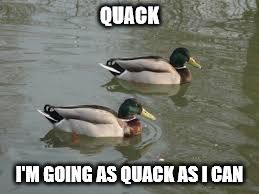 Duck Talk | QUACK I'M GOING AS QUACK AS I CAN | image tagged in ducks,memes,bad puns | made w/ Imgflip meme maker