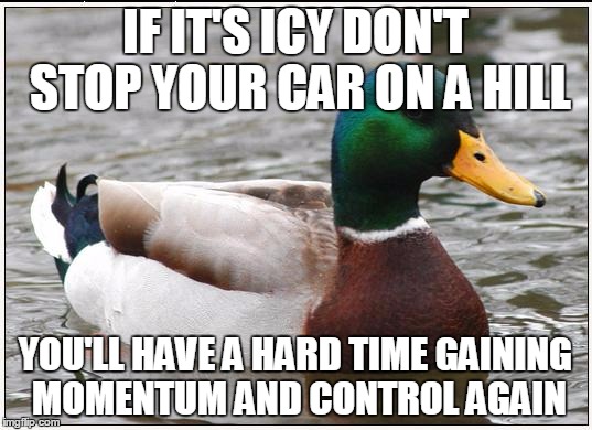 Actual Advice Mallard Meme | IF IT'S ICY DON'T STOP YOUR CAR ON A HILL YOU'LL HAVE A HARD TIME GAINING MOMENTUM AND CONTROL AGAIN | image tagged in memes,actual advice mallard | made w/ Imgflip meme maker