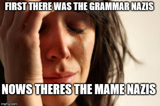First World Problems Meme | FIRST THERE WAS THE GRAMMAR NAZIS NOWS THERES THE MAME NAZIS | image tagged in memes,first world problems | made w/ Imgflip meme maker