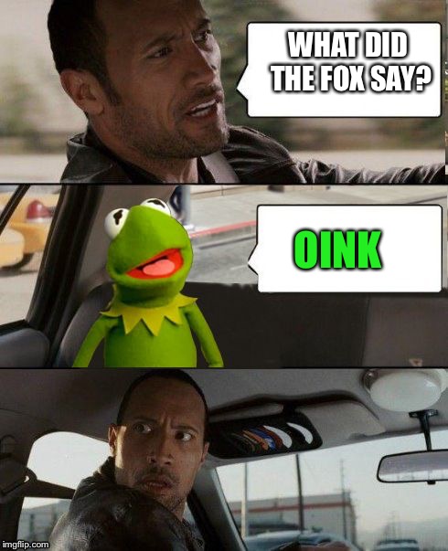 Kermit rocks | WHAT DID THE FOX SAY? OINK | image tagged in kermit rocks | made w/ Imgflip meme maker