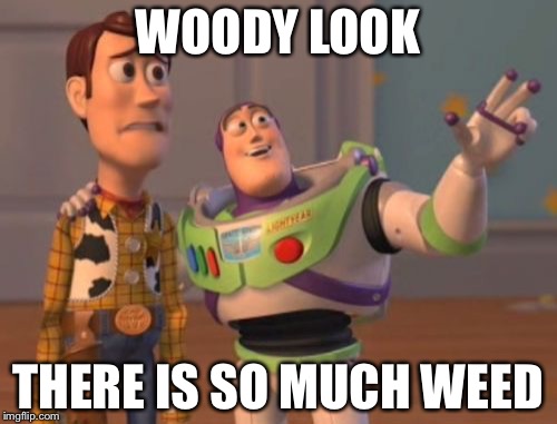 X, X Everywhere Meme | WOODY LOOK THERE IS SO MUCH WEED | image tagged in memes,x x everywhere | made w/ Imgflip meme maker