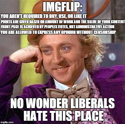 Creepy Condescending Wonka Meme | IMGFLIP: NO WONDER LIBERALS HATE THIS PLACE YOU AREN'T REQUIRED TO BUY, USE, OR LIKE IT POINTS ARE GIVEN BASED ON AMOUNT OF WORK AND THE VAL | image tagged in memes,creepy condescending wonka | made w/ Imgflip meme maker