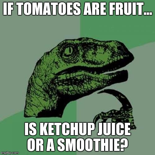 Philosoraptor | IF TOMATOES ARE FRUIT... IS KETCHUP JUICE OR A SMOOTHIE? | image tagged in memes,philosoraptor | made w/ Imgflip meme maker