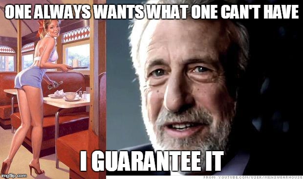 I guarantee it | ONE ALWAYS WANTS WHAT ONE CAN'T HAVE I GUARANTEE IT | image tagged in i guarantee it | made w/ Imgflip meme maker