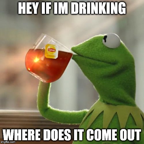 But That's None Of My Business Meme | HEY IF IM DRINKING WHERE DOES IT COME OUT | image tagged in memes,but thats none of my business,kermit the frog | made w/ Imgflip meme maker