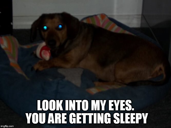 LOOK INTO MY EYES. YOU ARE GETTING SLEEPY | image tagged in sailor | made w/ Imgflip meme maker
