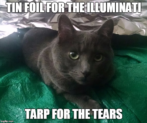 TIN FOIL FOR THE ILLUMINATI TARP FOR THE TEARS | image tagged in tin foil and tarp | made w/ Imgflip meme maker