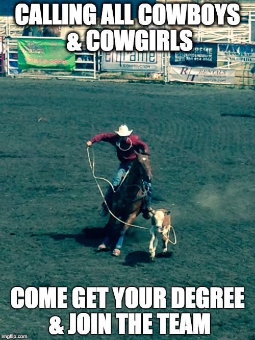 Calf Roping | CALLING ALL COWBOYS & COWGIRLS COME GET YOUR DEGREE & JOIN THE TEAM | image tagged in calf roping | made w/ Imgflip meme maker