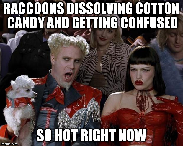 Mugatu So Hot Right Now Meme | RACCOONS DISSOLVING COTTON CANDY AND GETTING CONFUSED SO HOT RIGHT NOW | image tagged in memes,mugatu so hot right now | made w/ Imgflip meme maker
