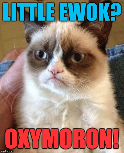 Grumpy Cat Meme | LITTLE EWOK? OXYMORON! | image tagged in memes,grumpy cat | made w/ Imgflip meme maker