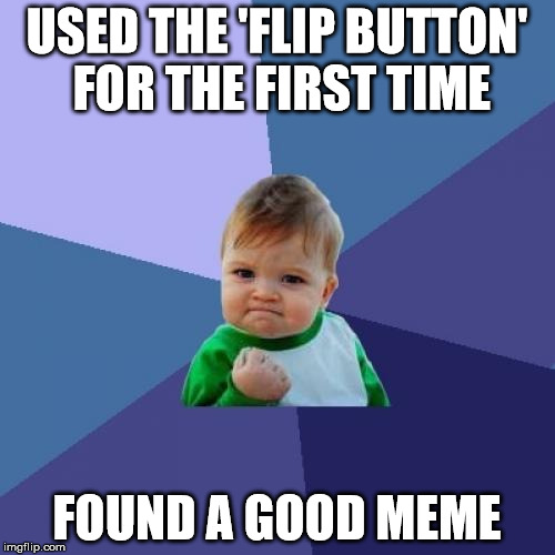 Success Kid Meme | USED THE 'FLIP BUTTON' FOR THE FIRST TIME FOUND A GOOD MEME | image tagged in memes,success kid | made w/ Imgflip meme maker
