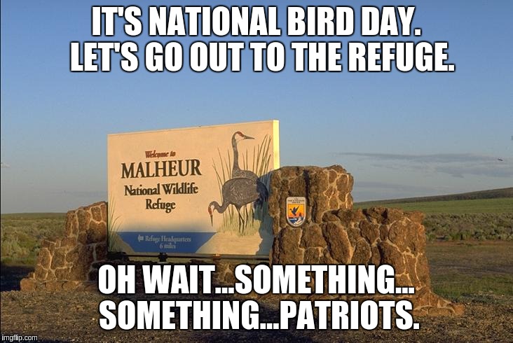 IT'S NATIONAL BIRD DAY.  LET'S GO OUT TO THE REFUGE. OH WAIT...SOMETHING... SOMETHING...PATRIOTS. | image tagged in malheur national wildlife refuge | made w/ Imgflip meme maker