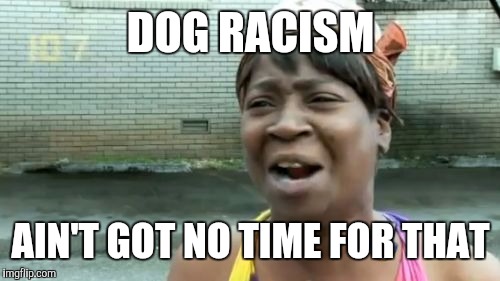 Ain't Nobody Got Time For That Meme | DOG RACISM AIN'T GOT NO TIME FOR THAT | image tagged in memes,aint nobody got time for that | made w/ Imgflip meme maker