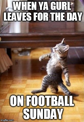 Cool Cat Stroll | WHEN YA GURL LEAVES FOR THE DAY ON FOOTBALL SUNDAY | image tagged in memes,cool cat stroll | made w/ Imgflip meme maker