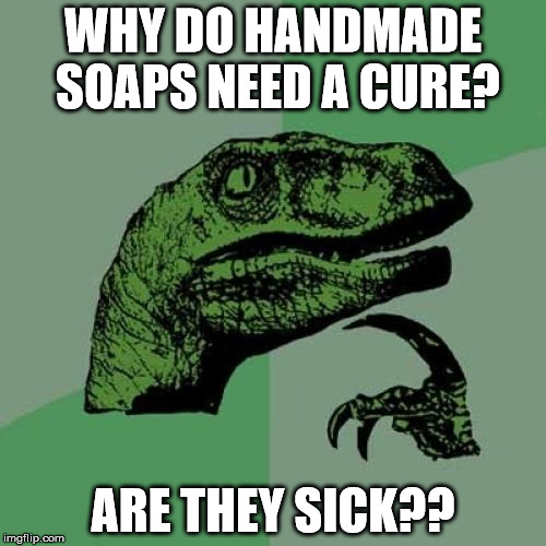 Philosoraptor Meme | WHY DO HANDMADE SOAPS NEED A CURE? ARE THEY SICK?? | image tagged in memes,philosoraptor | made w/ Imgflip meme maker