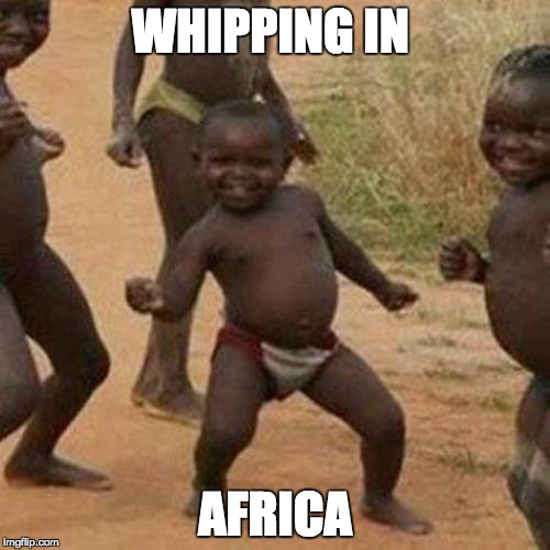 Third World Success Kid Meme | WHIPPING IN AFRICA | image tagged in memes,third world success kid | made w/ Imgflip meme maker