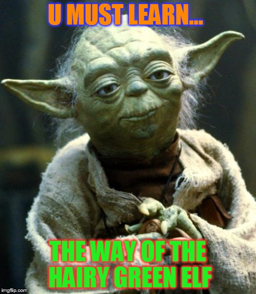 Star Wars Yoda | U MUST LEARN... THE WAY OF THE HAIRY GREEN ELF | image tagged in memes,star wars yoda | made w/ Imgflip meme maker