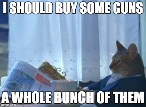 I Should Buy A Boat Cat Meme | I SHOULD BUY SOME GUNS A WHOLE BUNCH OF THEM | image tagged in memes,i should buy a boat cat,AdviceAnimals | made w/ Imgflip meme maker